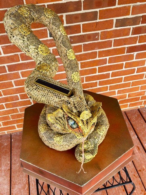 Golden Delicious - Image 4