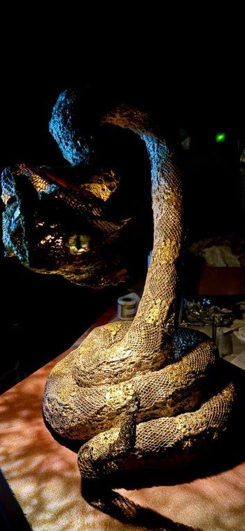 Golden Delicious - Image 5