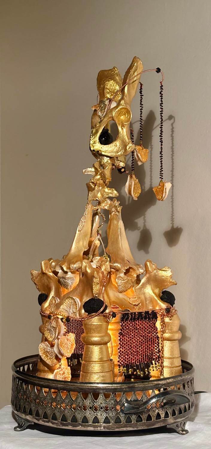 Bones Never Lie